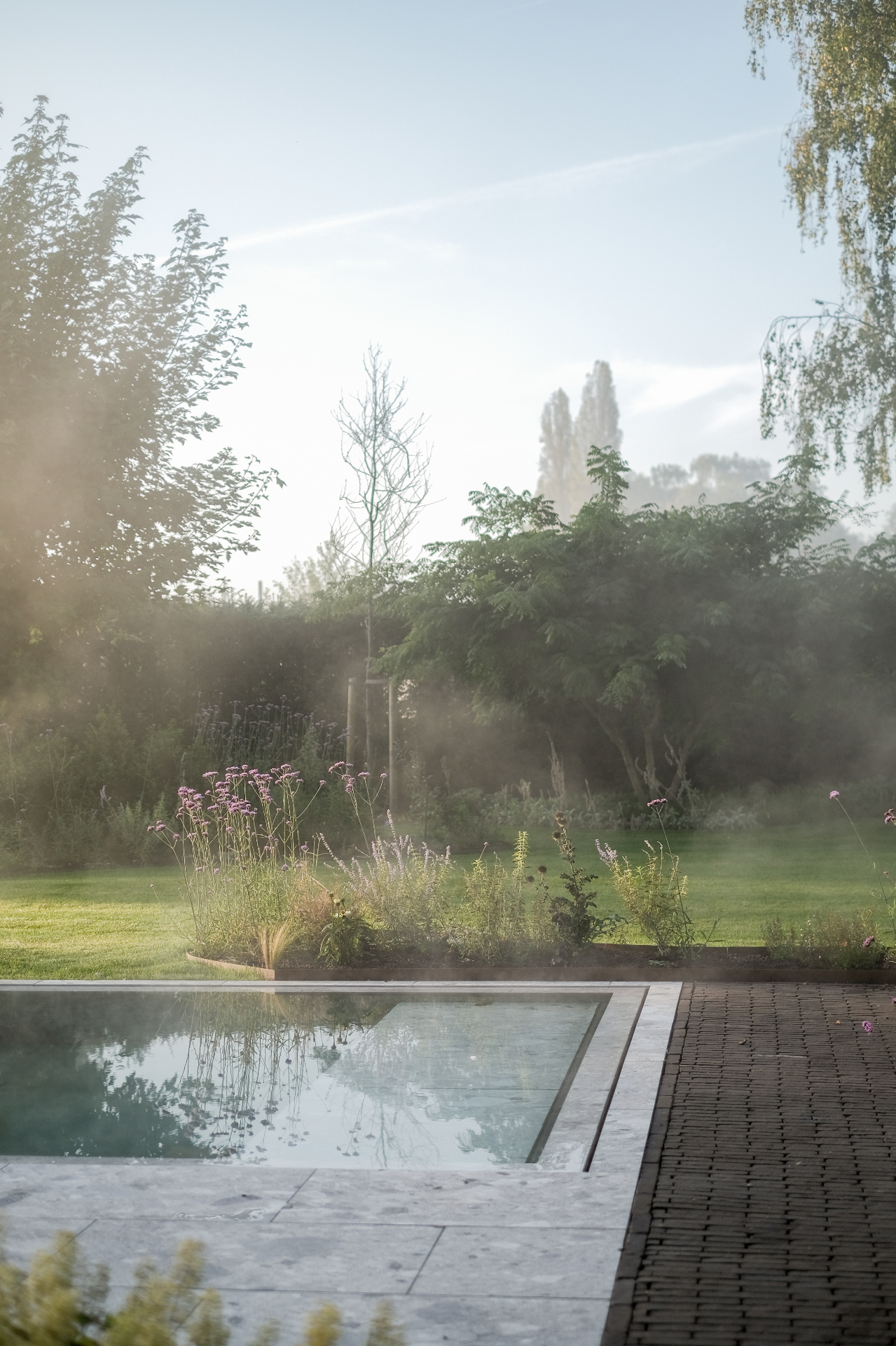 Vaste planten in bloei